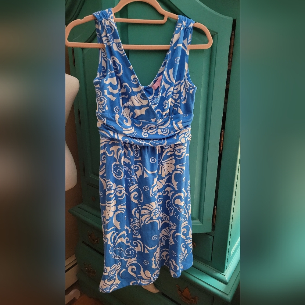 Lilly Pulitzer Blue and White Floral Print Mini Dress